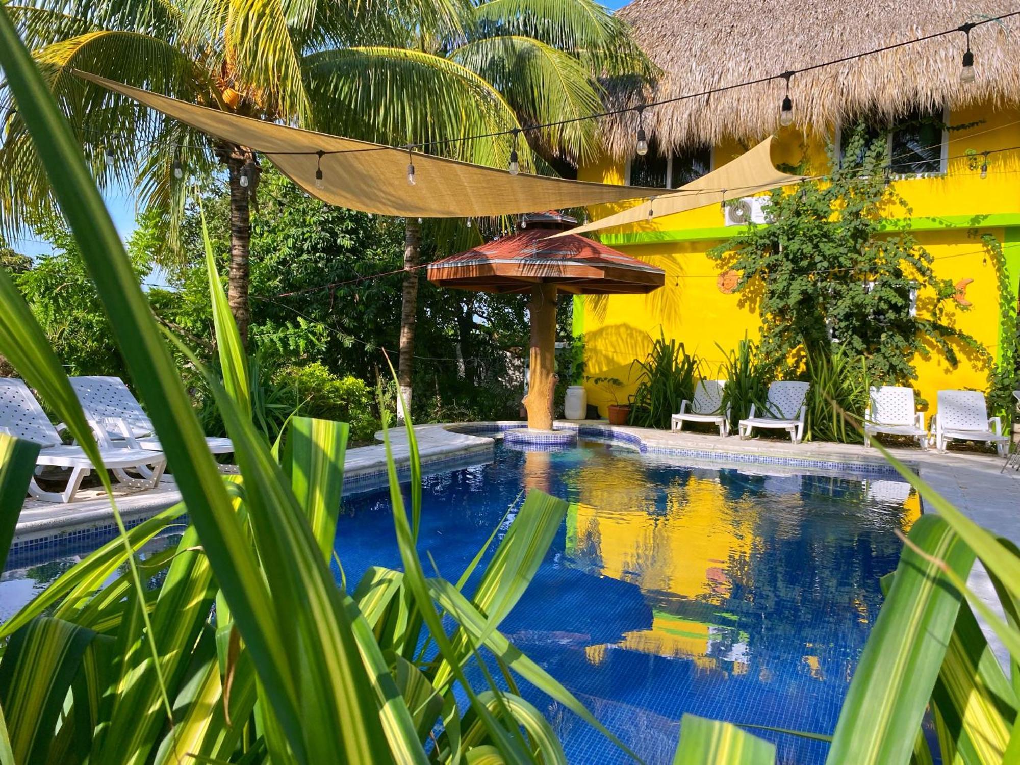 Brunette Beach El Paredon El Paredon Buena Vista Ngoại thất bức ảnh